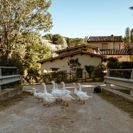 Agriturismo Le Radici Umbertide Exterior foto