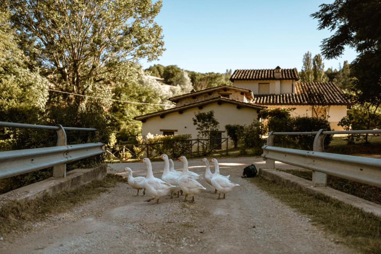 Agriturismo Le Radici Umbertide Exterior foto